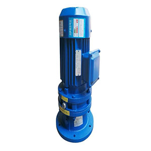 BLY/XLY立式摆线针轮直连一体式